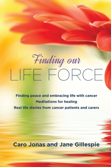 Life Force Cancer Foundation Supporting people dealing with cancer since 1993 