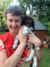 Life Force Cancer Foundation Supporting people dealing with cancer since 1993