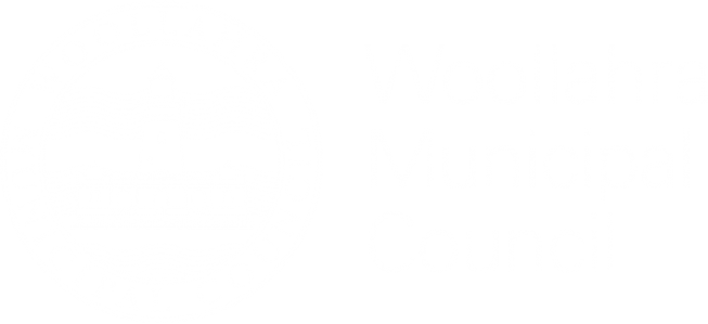 Life Force Cancer Foundation Supporting people dealing with cancer since 1993