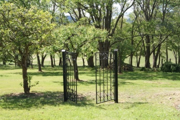 Gallery - Life Force Cancer Foundation